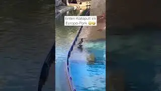 Ente wird von einer Font&auml;ne getroffen 😳 #short #europapark