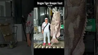Dragon Tiger Grouper Feast