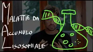 Malattie da Accumulo Lisosomiale: Sfingolipidi, Enzimi e Presentazione Clinica