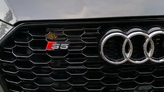 Используйте ваш фирменный значок S на гриле CarbnLabs RS Style
