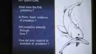 Predators of the Paleozoic - Dr. Carl Brett pt 1 of 6