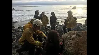 Missing Portland woman found alive in California