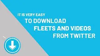 Twitter Fleets Saver App
