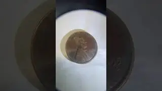 1951 D wheat cent found in pocket change #coin #coincollecting #uscoins #coins #shortsfeed #money