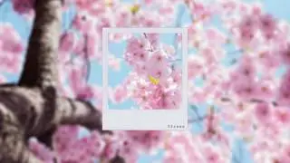 Aiona - Too Late