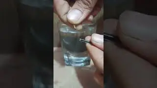 Water And Ink Experiment At Home | Short Experiment | Experiment Ki Duniya