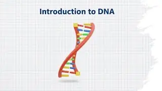 Introduction to DNA | Central Dogma of molecular biology 01