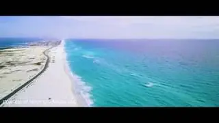 Sunny Florida Beaches!
