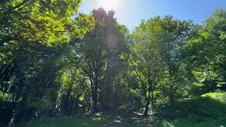 Soft Morning Piano🎶Relaxing Instrumental Music for a Peaceful Day🎶🎶Anivia