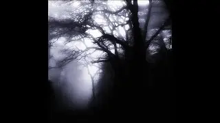 [free] lovemusic x ambient type beat - 