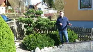 Ozon am Koiteich - Ozon