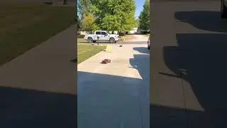 jumping arrma senton