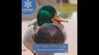 Mr. Turkey & Mr. Duck - Early Literacy Rhyme