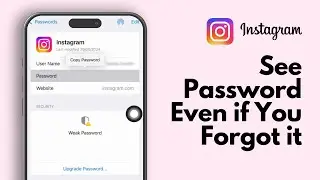 How To See Your Instagram Password in 2025 (Even If You Forgot It!) - iPhone/iOS Devices