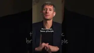Dr. Robin Carhart-Harris with Jordan Peterson on the Entropic Brain theory