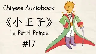 HSK2-3 | Chinese Audiobook《小王子》  #17 (Text in Chinese & French)