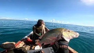 MASSIVE 10lb MUTTON SNAPPER  SPEARD IN 20 FT WATER (SPEARFISHING IN JAMAICA 🇯🇲)