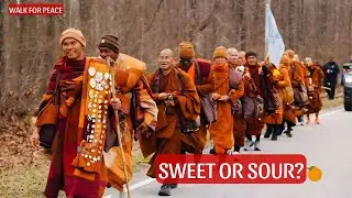 Walk for Peace | The Tangerine Lesson: Don&rsquo;t Cling. Don&rsquo;t Fight.