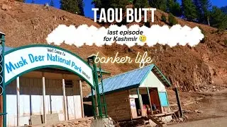 📍Аранг Кель → Долина Таобат Нилум, Азад Кашмир, Пакистан 🇵🇰 l жизнь банкира l #new #desi #taobutt