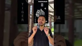 5 Reasons Why the Tiger Credit Card is a Game-Changer!