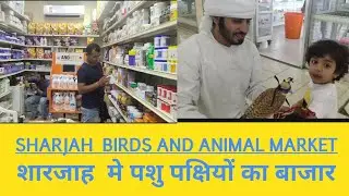 Sharjah (UAE)birds and animal market by kamal arora