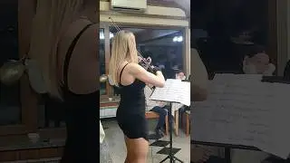 Avsenik: Večer na Robleku - In den Bergen, Song by Avsenik Brothers , Remix #avsenik #shorts