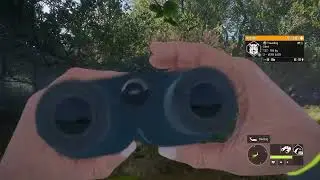 theHunter: Call of the Wild