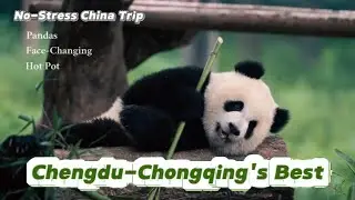 No-Stress China Trip: Chengdu-Chongqing&rsquo;s Best 🐼🌶️