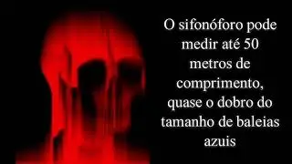 Senhor Incr&iacute;vel ficando perturbado | Fatos sobre animais pt.2