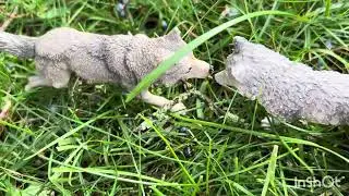 The grey wolf episode 1 a schleich series (season two)
