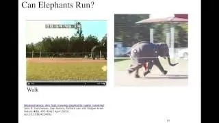 8. Some Amazing Animals in Motion: Terrestrial Locomotion