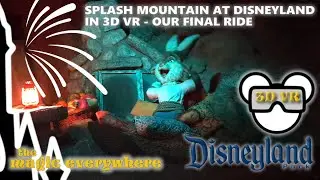 [3D VR] Splash Mountain POV at Disneyland - Our final ride
