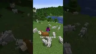 Dogs Fear Llamas?🤔⬆️Watch full video(30 facts)#minecraft