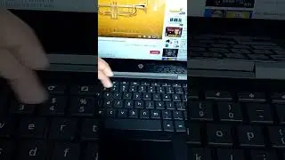trumpet play computer keyboard