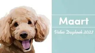 Leven met een Hulphond - Jaaroverzicht Hulphond Tynke - Video Diary