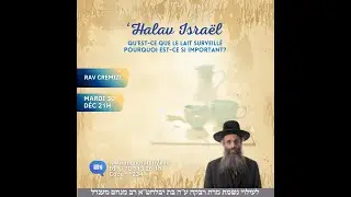 'Halav Isra&euml;l : Qu'est-ce que le lait surveill&eacute; ? Pourquoi est-ce si important ?