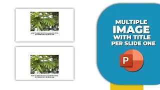 How to insert multiple image with title in PowerPoint Per slide One