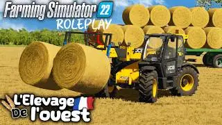 De la PAILLE !(et Un D&eacute;chaumer en Essai)😀 | RolePlay | L'&Eacute;levage De l'ouest (FS22)