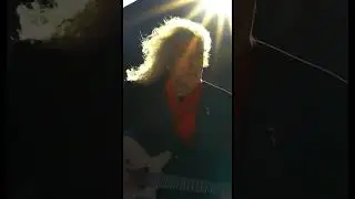 Brian May - Another World #Shorts #BrianMay #Queen