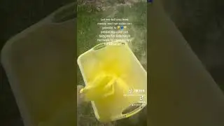 yellow sand color run