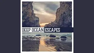 Beautiful Ocean Waves