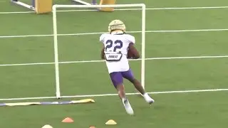 St. Martin's alum Harlem Berry shines in LSU spring ball