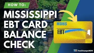 Mississippi EBT Balance Check Instructions