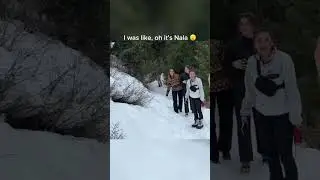 &ldquo;Nala stomps&rdquo; spotted on a random trail 🎥:@BrodieThatDood #goldenretriever  #dog