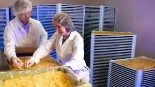 ヴァイサラのライフサイエンスソリューション