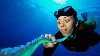 Meet the Animals With Senses Far Beyond Human Perception!