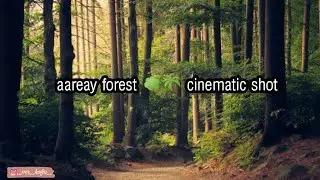 🌳🌴🏞️🌄📸cinematic shot Aareay forest 🌳🌴🏞️🌄📸