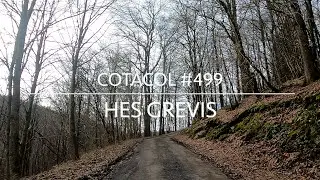 Cotacol #499 - Hes Grevis
