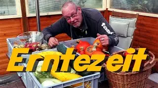Erntezeit Teil 1 / wir holen (fast) alles raus