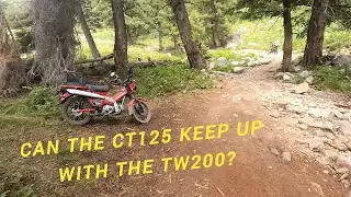 Can the Honda CT125 take on a steep rocky mining road without low range?